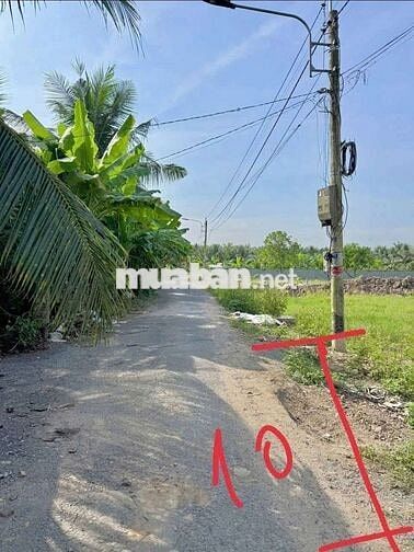 Đất đường nhựa giá rẻ như bê tông 