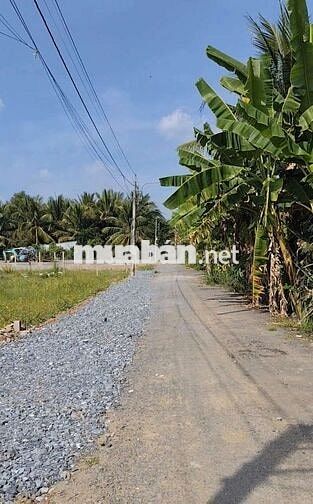 Đất đường nhựa giá rẻ như bê tông 
