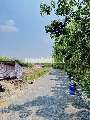 ĐẤT NỀN - HƯNG THUẬN - GIÁ TỐT
