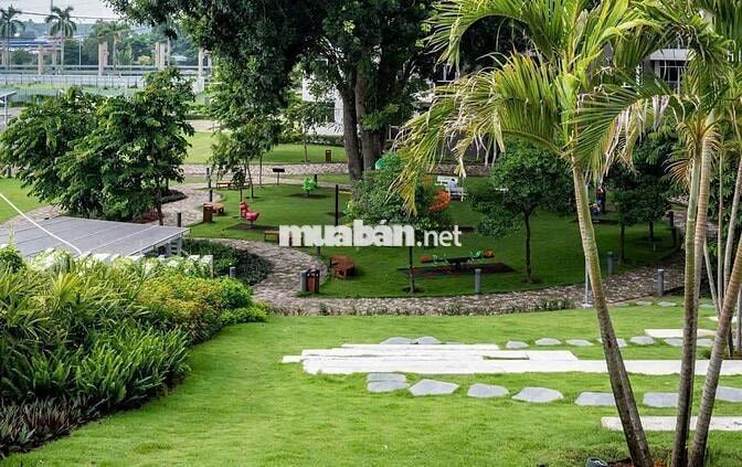 RỔ HÀNG VIP TẶNG 1 NĂM PHÍ QUẢN LÝ-1 CHỈ VÀNG-1 VOUCHER TIỀN 2 TỶ 9 