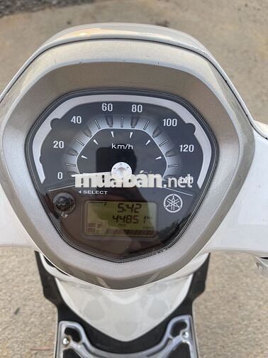 Yamaha Grande Trắng 4485 km