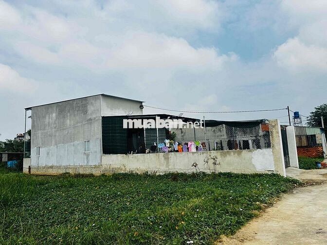 Bán lô đất đường Gò Hưu Mỹ Hạnh Nam Đức Hòa Long An (khu Cầu Lớn)
