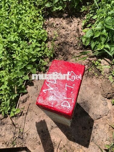 Lỗ chứng khoán bán gấp đất 1 sẹc vành đai 4 5X30m thổ 550tr và 5600m2