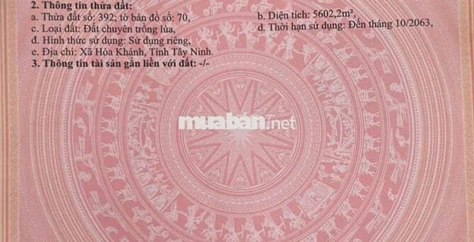 Lỗ chứng khoán bán gấp đất 1 sẹc vành đai 4 5X30m thổ 550tr và 5600m2
