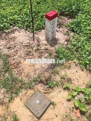 Lỗ chứng khoán bán gấp đất 1 sẹc vành đai 4 5X30m thổ 550tr và 5600m2