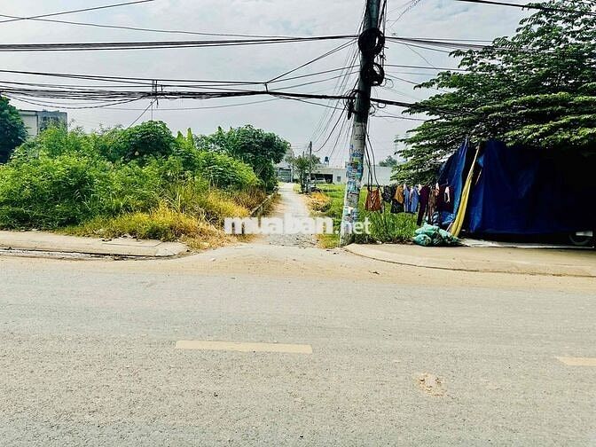 Bán lô đất đường Gò Hưu Mỹ Hạnh Nam Đức Hòa Long An (khu Cầu Lớn)
