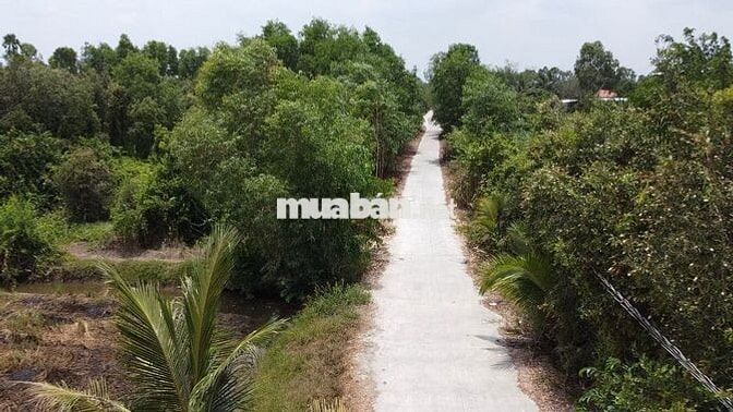 Lỗ chứng khoán bán gấp đất 1 sẹc vành đai 4 5X30m thổ 550tr và 5600m2