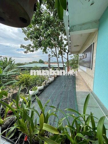 Bán NR đẹp xuất sắc tại 3/6m ấp Tiền Lân, 11 tỷ, 130m2