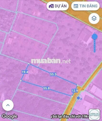 Vuờn trái cây Long Phước-TP Bà Rịa - 80 thổ 2tỷ8 dân cư đông-900m2