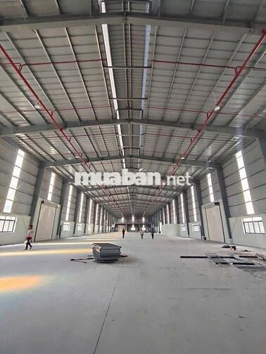CHO THUÊ KHO XƯỞNG KCN ĐỨC HÒA LONG AN 80K/M2