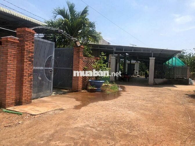 Vuờn trái cây Long Phước-TP Bà Rịa - 80 thổ 2tỷ8 dân cư đông-900m2