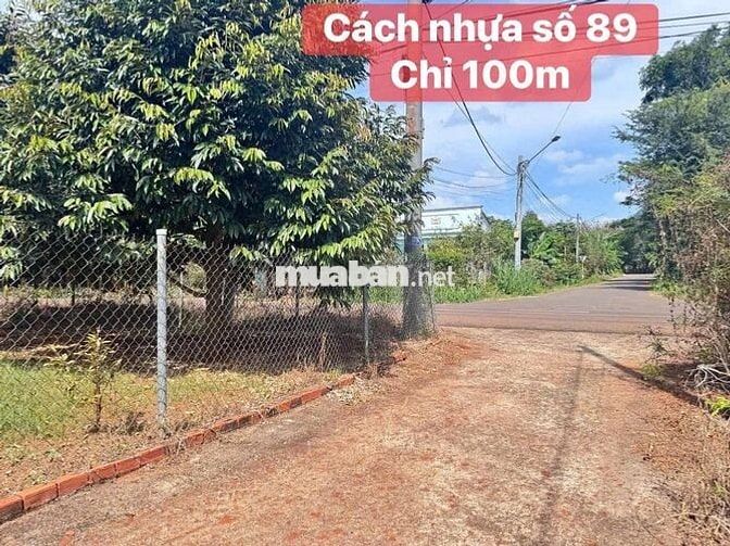 Vuờn trái cây Long Phước-TP Bà Rịa - 80 thổ 2tỷ8 dân cư đông-900m2