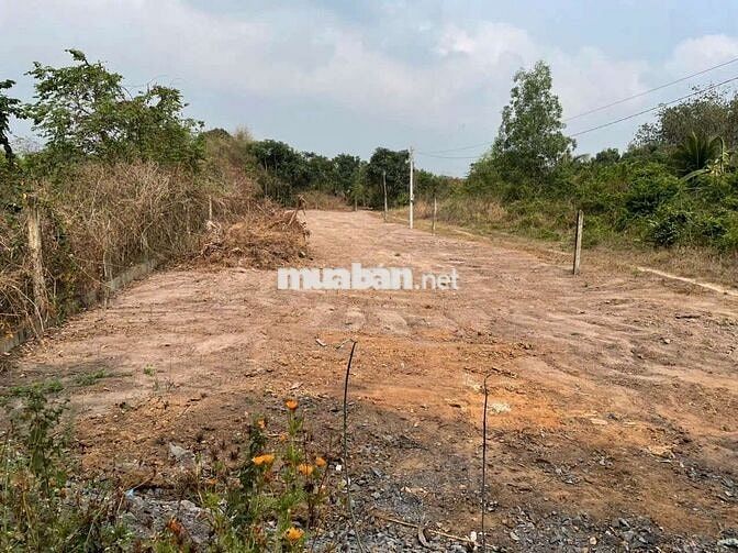 137m2(7×20) đất ở ngay VLXD Trung Lý , sổ sẵn , đường 7m.