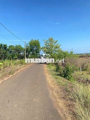 Nắm chủ 11 sào - Châu Đức -Bà Rịa -6,6 tỷ 11 sào   Hai mặt tiền nhựa
