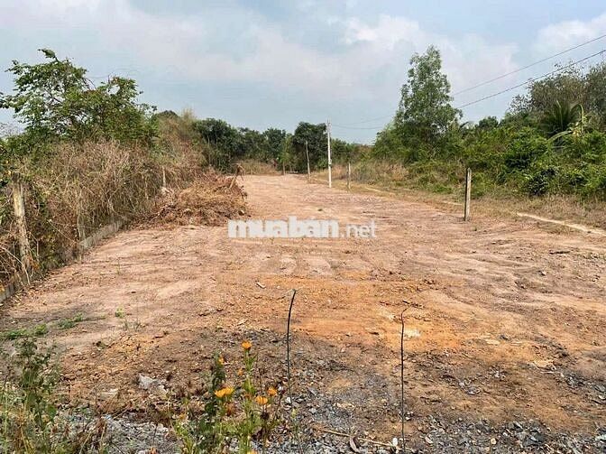 137m2(7×20) đất ở ngay VLXD Trung Lý , sổ sẵn , đường 7m.