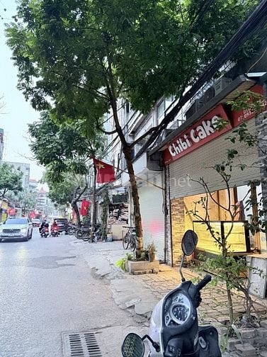 Mặt Phố Hoa Lâm – long Biên – 101 M2 – 3 T – Mặt iền 4 M – giá 24.3 Tỷ