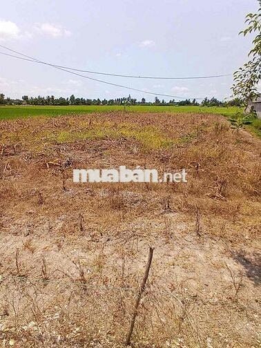CHÍNH CHỦ BÁN GẤP ĐẤT MẶT TIỀN ĐT 937B  LÔ DÀI 70M SIÊU HIẾM