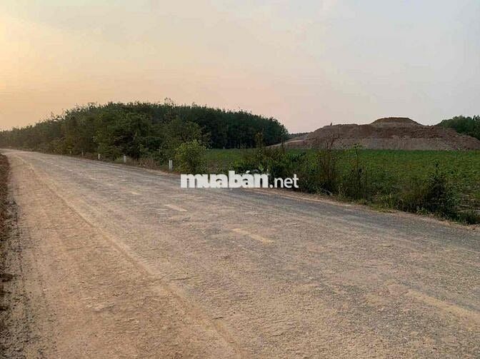 (HẠ TRỰC TIẾP 100TR) Bán nhanh 2000m2 đất châu thành mặt ngang 40m chỉ