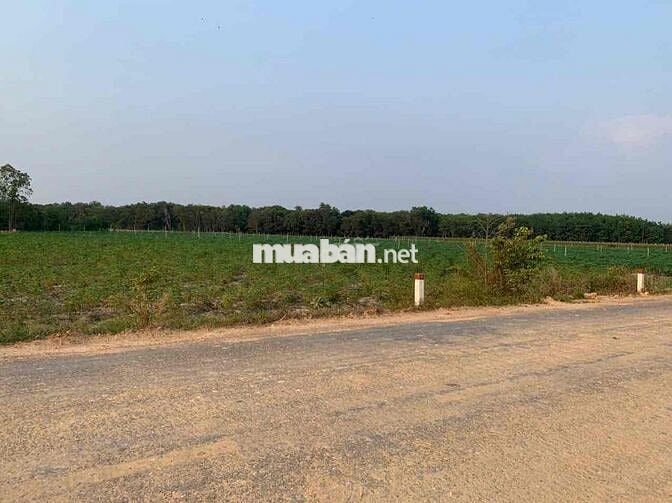 (HẠ TRỰC TIẾP 100TR) Bán nhanh 2000m2 đất châu thành mặt ngang 40m chỉ