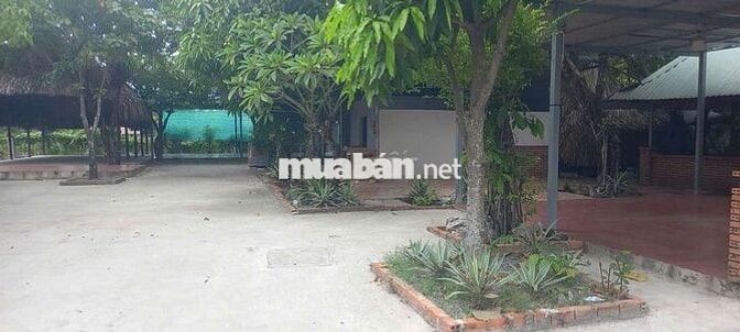 cho thuê mặt bằng kinh DOANH,,phường  Thuận An, gần  chợ búng 