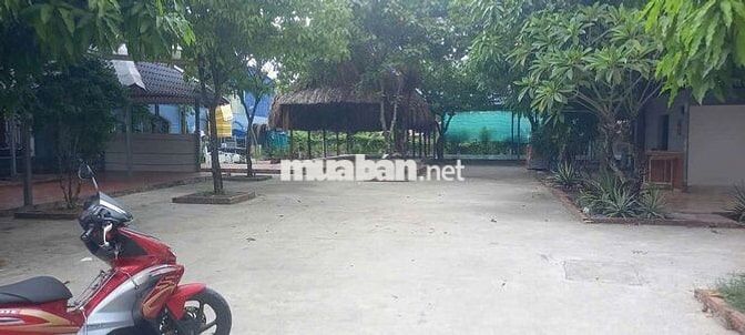 cho thuê mặt bằng kinh DOANH,,phường  Thuận An, gần  chợ búng 