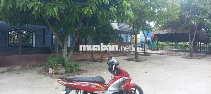 cho thuê mặt bằng kinh DOANH,,phường  Thuận An, gần  chợ búng 