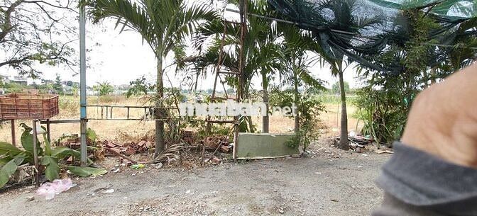 Đất trồng cây đ.Xuân Thới Sơn 26C-Hóc Môn.Dt 33x35~1161m2~14,5ty