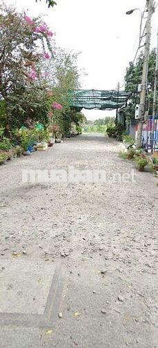 Đất trồng cây đ.Xuân Thới Sơn 26C-Hóc Môn.Dt 33x35~1161m2~14,5ty