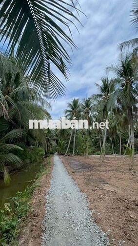 435 triệu sở hữu 710m² gần phà Bình Ninh – đầu tư hay ở đều hợp