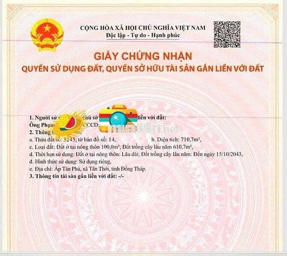 435 triệu sở hữu 710m² gần phà Bình Ninh – đầu tư hay ở đều hợp