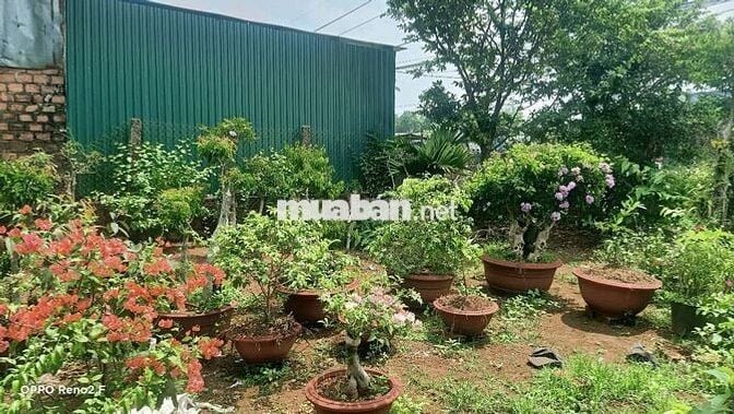 chính chủ cần bán lô đất mặt đường quốc lộ 14 