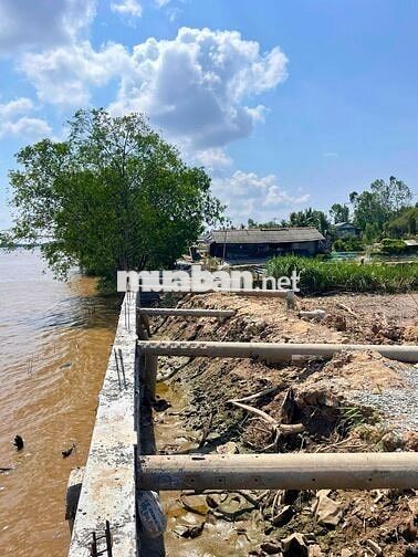 2.350m² ven sông – có thổ cư, có kè – giá nào cho nhà đầu tư nhanh?