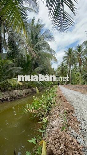 435 triệu sở hữu 710m² gần phà Bình Ninh – đầu tư hay ở đều hợp