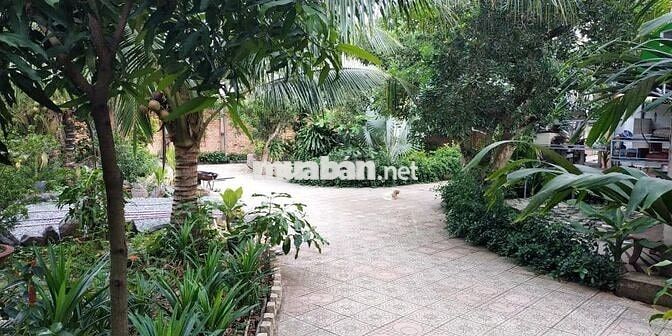 🏡 [CHO THUÊ] PHÒNG TRỌ VIEW SÂN VƯỜN - TRUNG TÂM CÙ LAO PHỐ-HỖ TRỢ SV