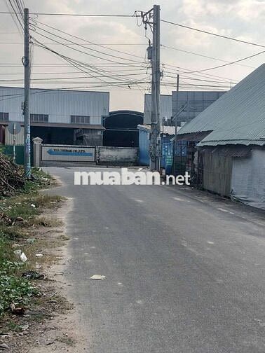 bán nhà kinh doanh được tại chánh phú hòa