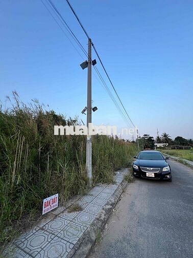 BÁN ĐẤT PHƯỜNG TÂN HẠNH, TỈNH VĨNH LONG (Phường 8, thành phố Vĩnh Long