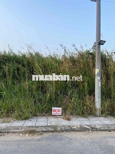 BÁN ĐẤT PHƯỜNG TÂN HẠNH, TỈNH VĨNH LONG (Phường 8, thành phố Vĩnh Long