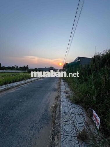 BÁN ĐẤT PHƯỜNG TÂN HẠNH, TỈNH VĨNH LONG (Phường 8, thành phố Vĩnh Long