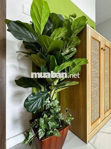 CHÍNH CHỦ BÁN CĂN GÓC 2PN2WC OPAL BOULEVARD FULLNT 4.2TỶ, VIEW ĐẸP ĐẸP