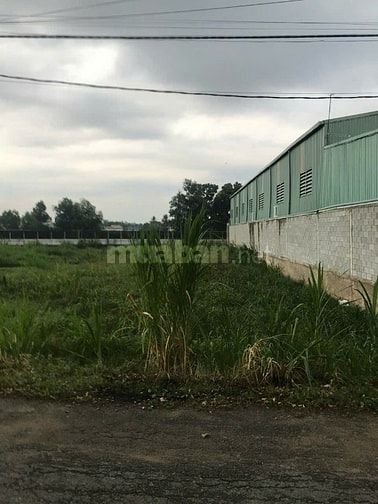 BÁN ĐẤT THỔ CƯ KẾ BÊN VINHOME HÓC MÔN, KCN TÂN PHÚ TRUNG