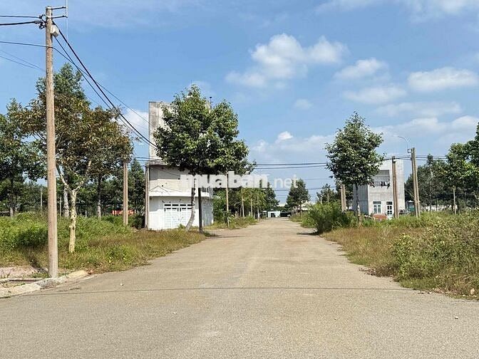 chính chủ bán đất 100 m2 tại Lan anh, Hoà Long
