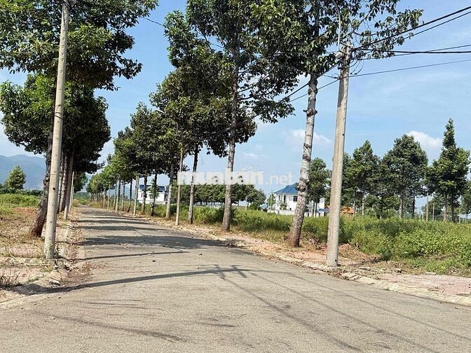 chính chủ bán đất 100 m2 tại Lan anh, Hoà Long
