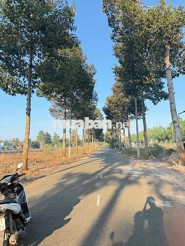 ĐẤT BIỆT THỰ chính chủ gửi bán khu Lan anh 2,5 Bà rịa