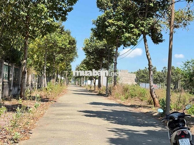 ĐẤT BIỆT THỰ chính chủ gửi bán khu Lan anh 2,5 Bà rịa