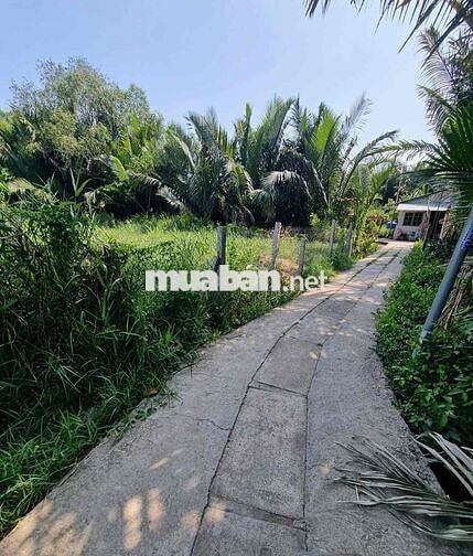 Đất vườn, quy hoạch khu dân cư hiện hữu. nhơn Đức Nhà Bè