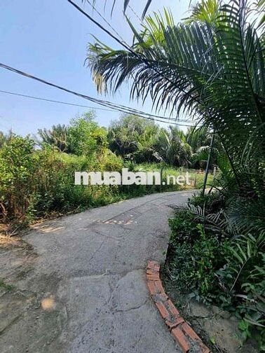 Đất vườn, quy hoạch khu dân cư hiện hữu. nhơn Đức Nhà Bè