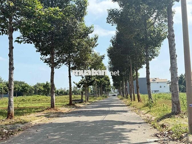 chính chủ bán đất 100 m2 tại Lan anh, Hoà Long