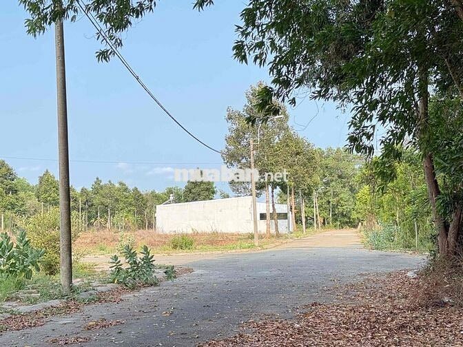 CHÍNH CHỦ gửi bán lô đất rẻ nhất khu Lan anh 2