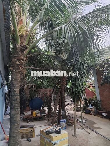 Phòng trọ 2 phòng ngủ mới xây 