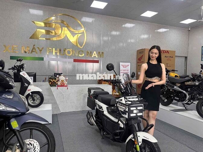 Honda Square X125 Trắng, Xanh rêu